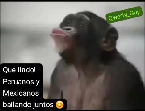 Escudo Anti Jorge Se El Oendejo Se Lastim A Si Mismo Meme Subido Por