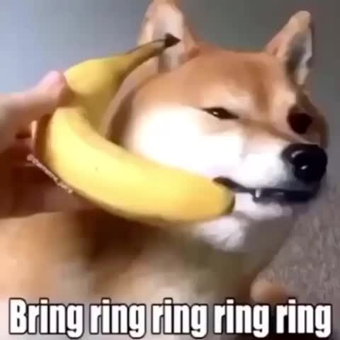 Banana Phone D Meme Subido Por Standus Memedroid