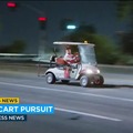 Shirtless suspect leads LA police on bizarre slow-speed chase in golf cart with dog in lap