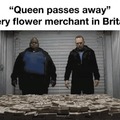Flower merchants in Britain --> STONKS