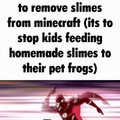 Removing slimes from Minecraft