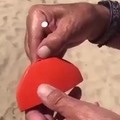 commented item thumbnail