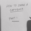 Desenhando a capybahara