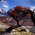 Peak Foliage in Patagonia