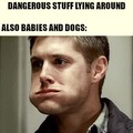 Babies and dogs
