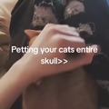 Pet your cat correctly