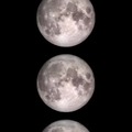 Eclipse lunar terraplanista