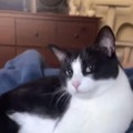 commented item thumbnail