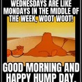 Happy Hump Day meme!