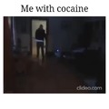 Cat gets a shovel of cocaine