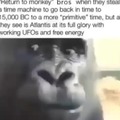 Return to monkey bros