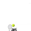 Juega tenis con el gato