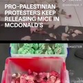 Releasing mice is definitely going to end the war
