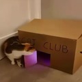 commented item thumbnail
