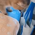 Cat messing around