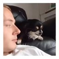 commented item thumbnail