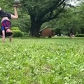 commented item thumbnail