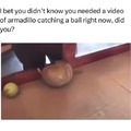 Ball catches ball then accidentally rolls over