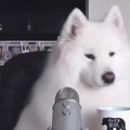 commented item thumbnail