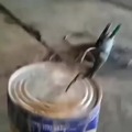 commented item thumbnail