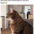 Ancient Egypt cats