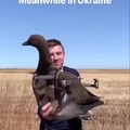 Pato drone
