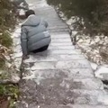 commented item thumbnail