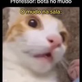 Mudo