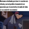 Quien chota se muere diciendo "ayayayayayay", de verdad, no puedo creer que esos videos sean reales