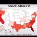 Shark attacks map