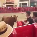 Un toro muy molesto