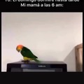 commented item thumbnail
