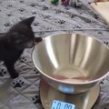 commented item thumbnail