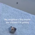 Dog prefers barbeque