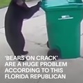 Literally bro saw cocaine bear and got scared