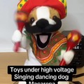 Perro cantando bailando Macarena bajo mucha electricidad