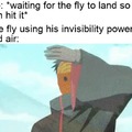 Fly using invisibily power