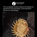 commented item thumbnail