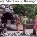 Don't rile up  the dog