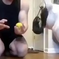 The ball trick