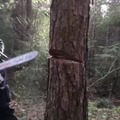 Lumberjack skills