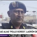 CAYO ALIAS POLLO GORDO
