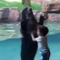 Kid and bear have fun together