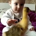 The fascination of this child discovering a duckling