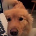 commented item thumbnail