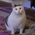 commented item thumbnail