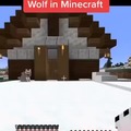POV: Your're a wolf in MInecraft
