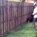 when you share fences with your bro