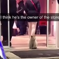Gato dueño de la tienda