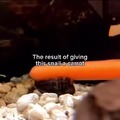 commented item thumbnail